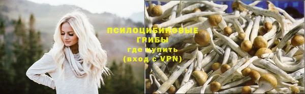 соль курить ск Алексеевка