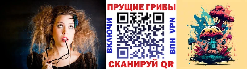 Псилоцибиновые грибы Cubensis  omg ССЫЛКА  Грязи 