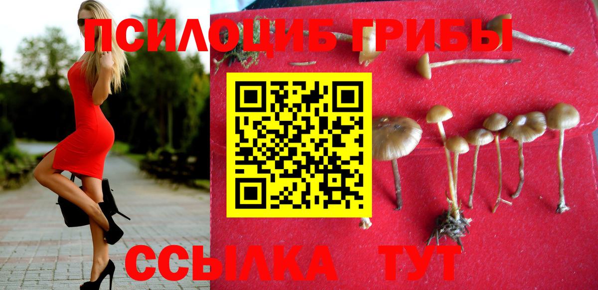 Псилоцибиновые грибы ЛСД  как найти наркотики  Вход с VPN  Грязи  Галлюциногенные грибы Magic Shrooms 